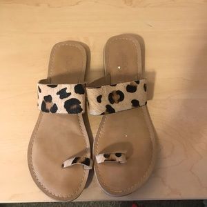 coconuts cheetah sandals